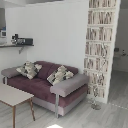 Apartament Cosy 2 Pieces Hyper Centre *